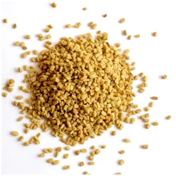 Graines de Fenugrec bio