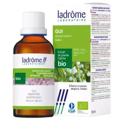 Gui (Bois de la Sainte-Croix) bio – Viscum Album – Extrait hydroalcoolique concentré