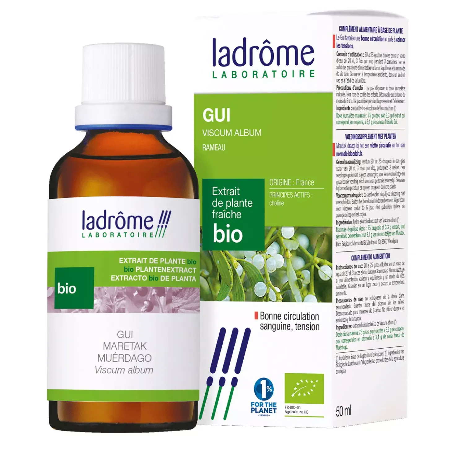 Gui (Bois de la Sainte-Croix) bio – Viscum Album – Extrait hydroalcoolique concentré