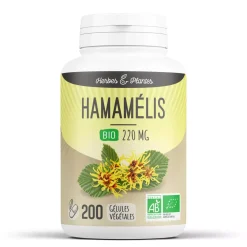 Hamamélis bio