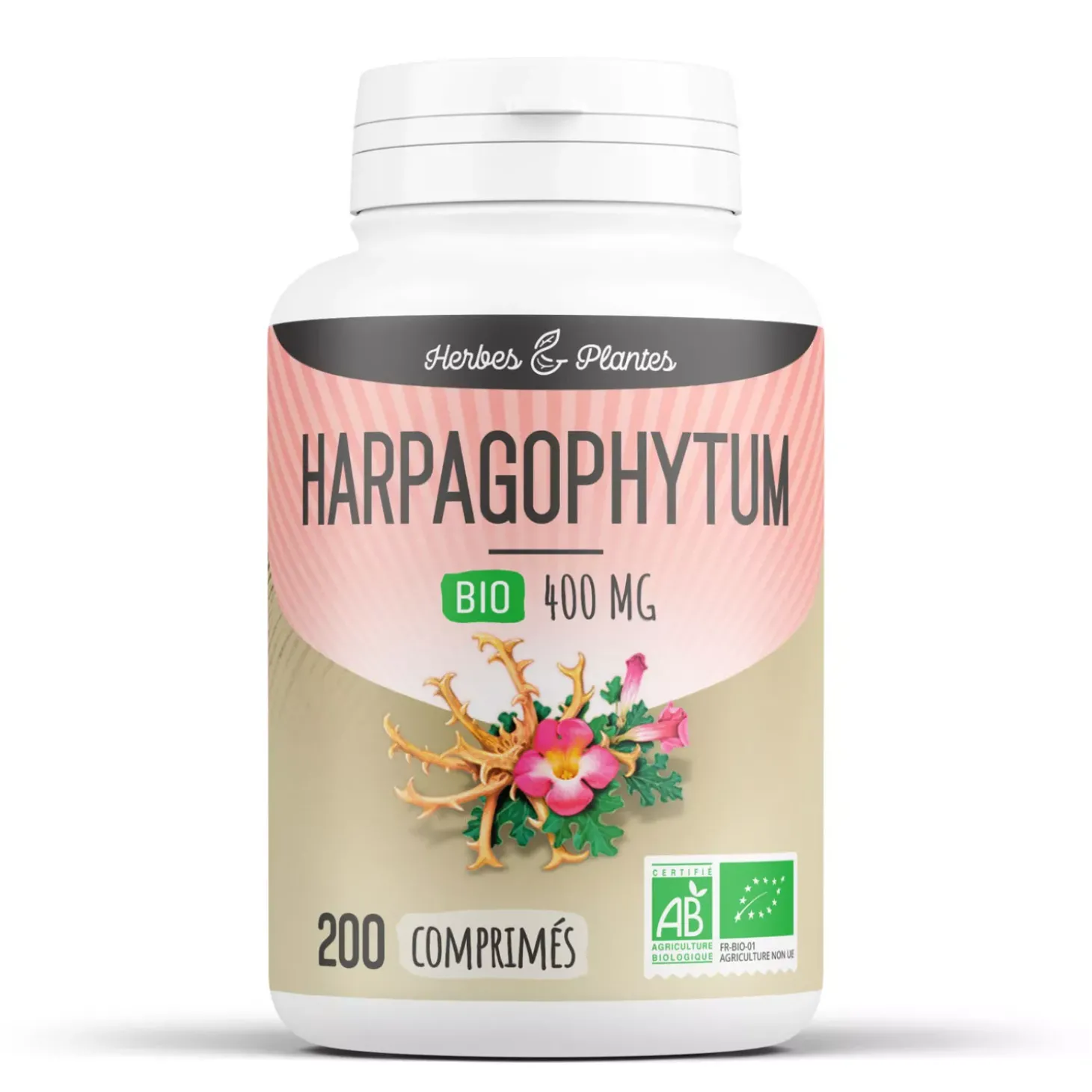 Harpagophytum bio