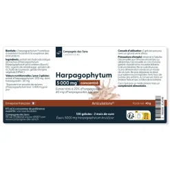 Harpagophytum concentré
