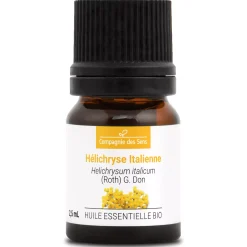 Hélichryse italienne