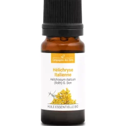 Hélichryse italienne