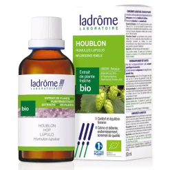 Houblon bio – Humulus Lupulus – Extrait hydroalcoolique concentré