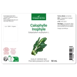 Huile de Calophylle Inophyle bio