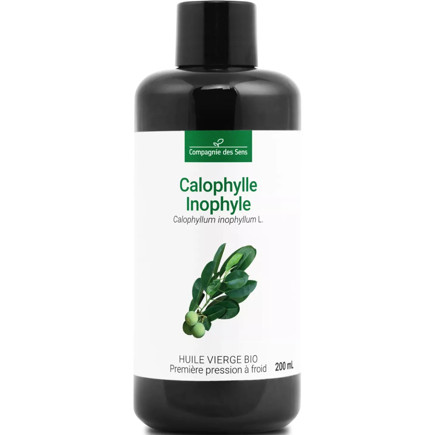 Huile de Calophylle Inophyle bio