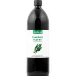 Huile de Calophylle Inophyle bio