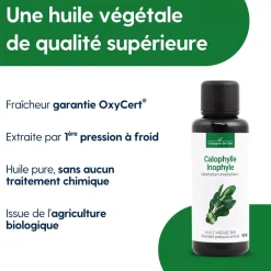 Huile de Calophylle Inophyle bio