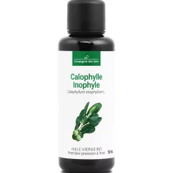 Huile de Calophylle Inophyle bio