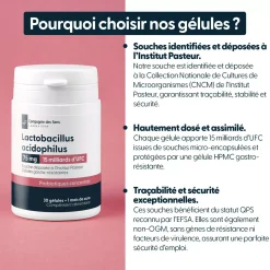 Lactobacillus acidophilus