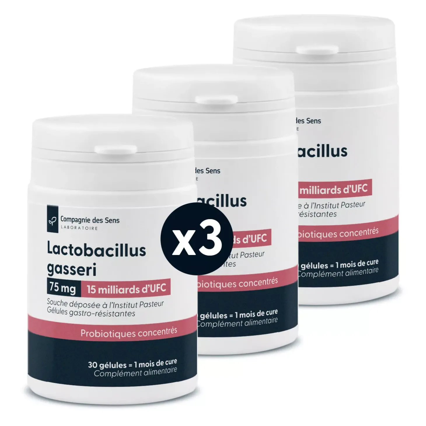 Lactobacillus gasseri