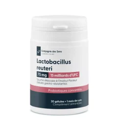 Lactobacillus reuteri