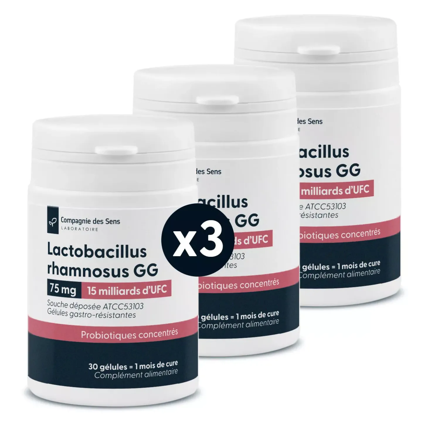 Lactobacillus rhamnosus gg