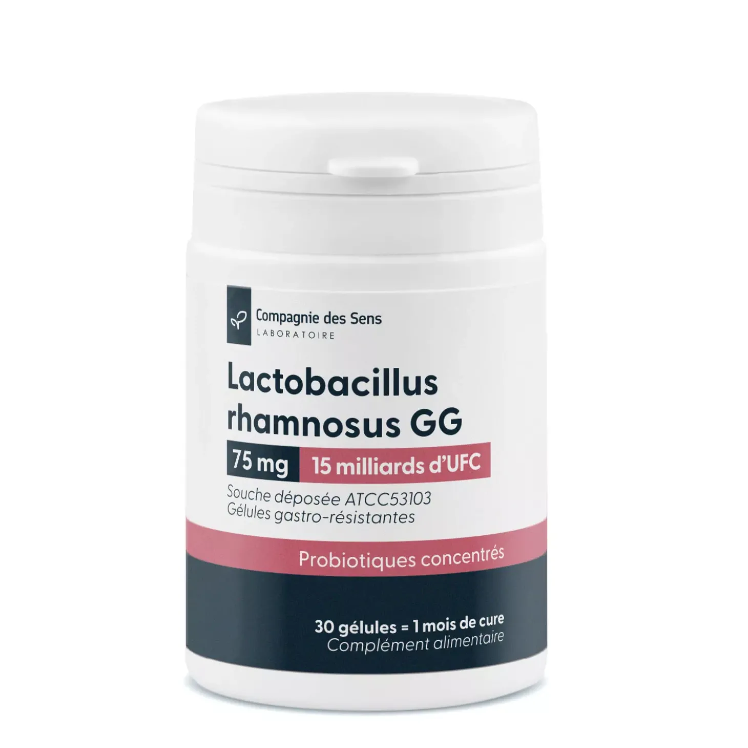 Lactobacillus rhamnosus gg