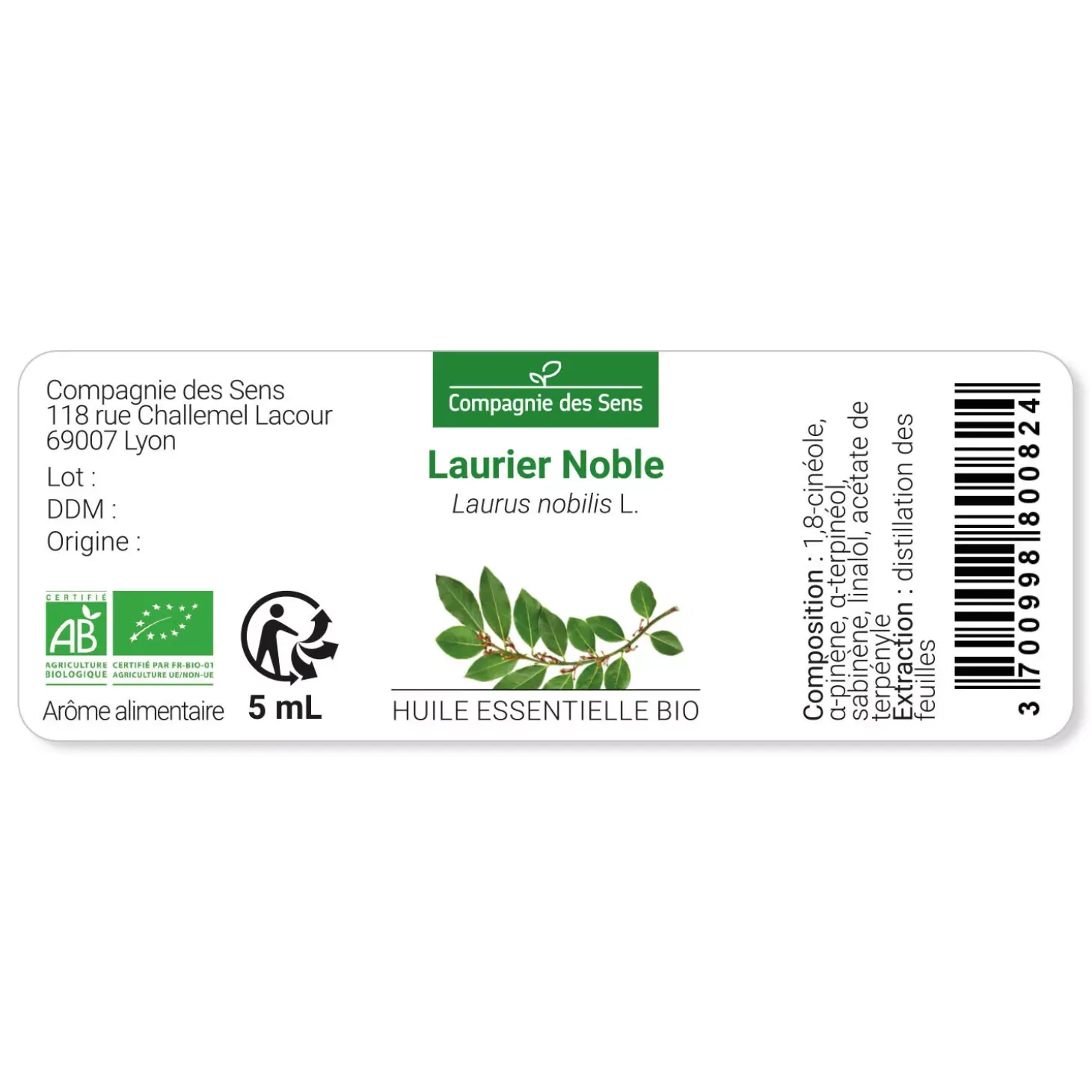 Laurier noble (Laurus Nobilis)