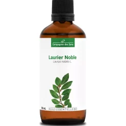 Laurier noble (Laurus Nobilis)