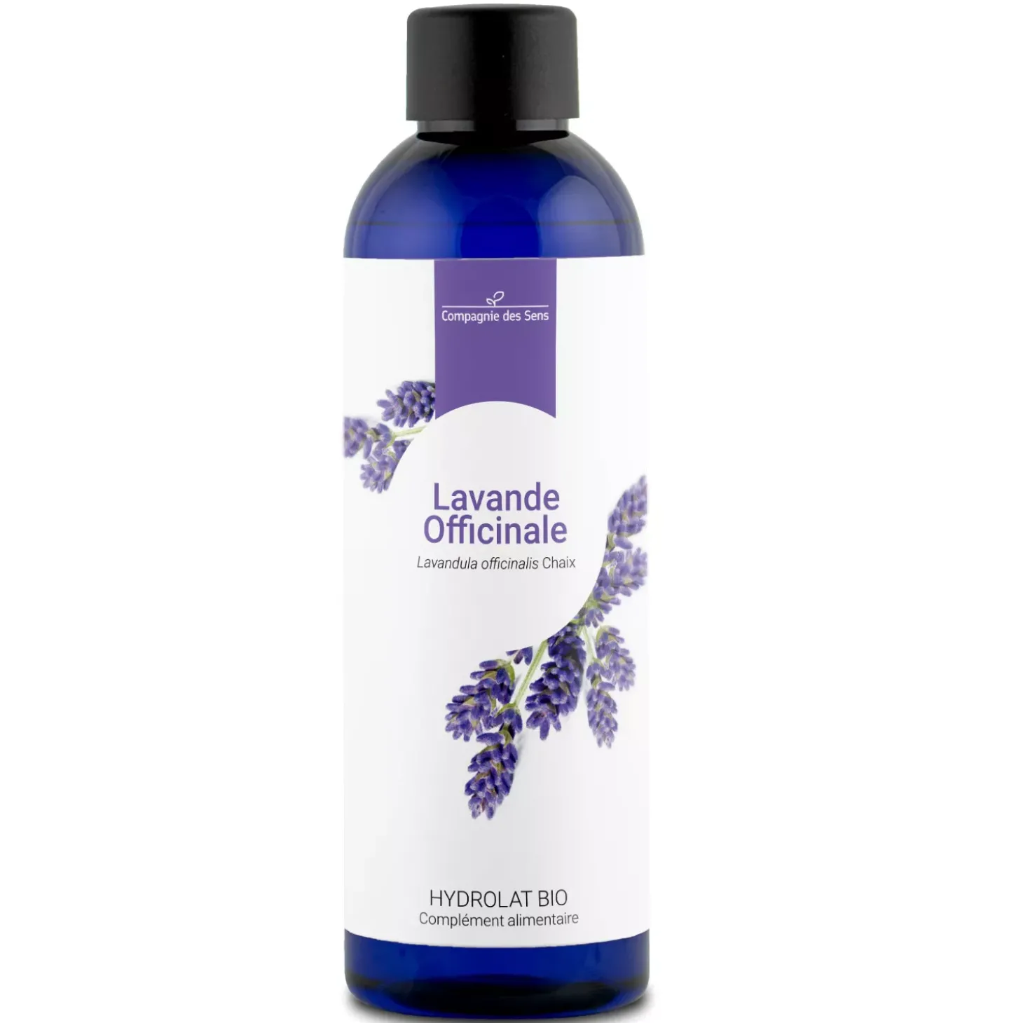 Lavande officinale