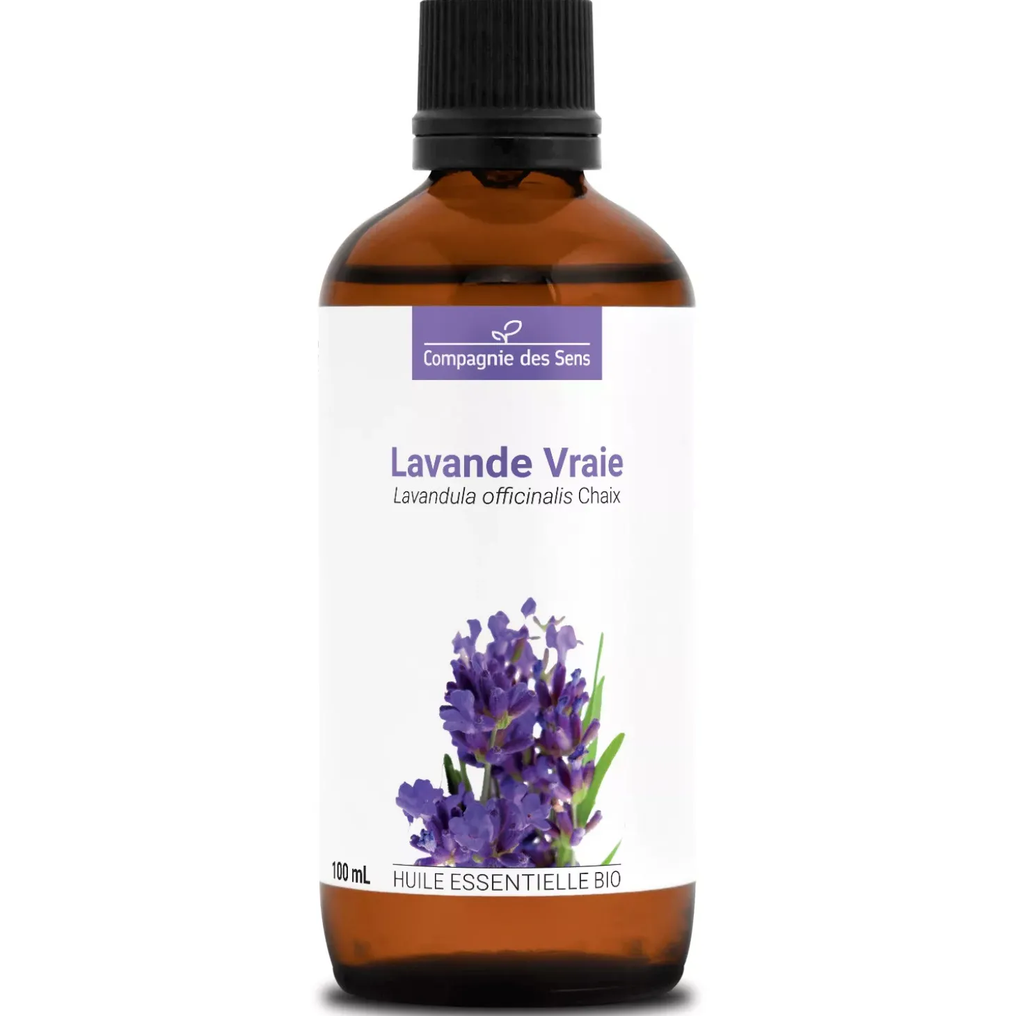Lavande vraie