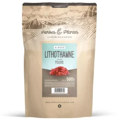 Lithothamne