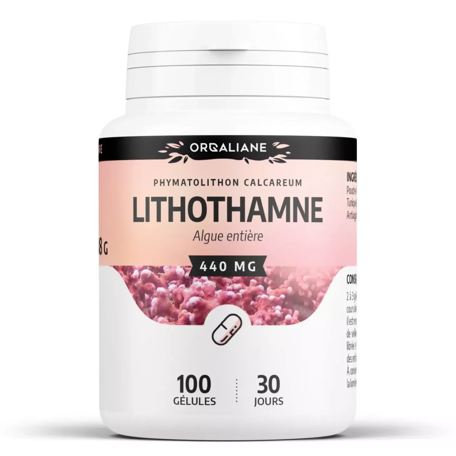 Lithothamne (algue entière)