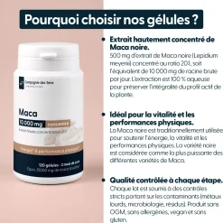 Maca concentrée