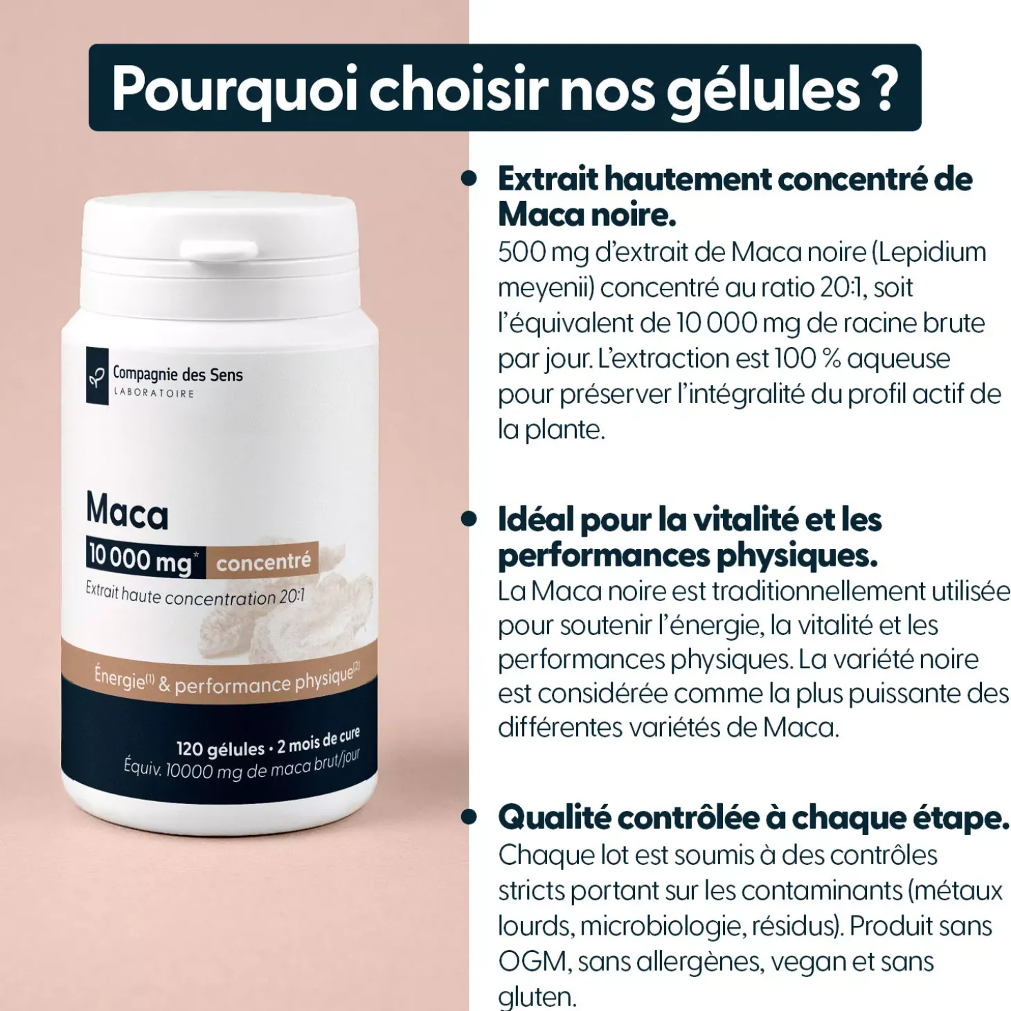 Maca concentrée