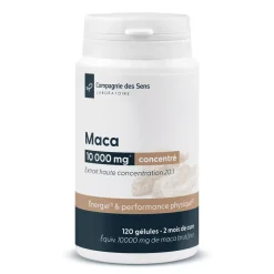 Maca concentrée