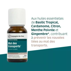 Mal des transports