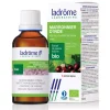 Marronnier d’Inde bio – Aesculus Hippocastanum – Extrait hydroalcoolique concentré