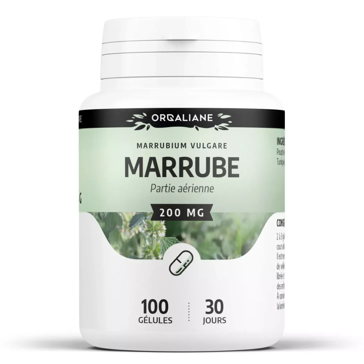Marrube – Marrubium vulgare – 100 gélules de 200 mg