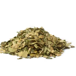 Maté bio Digest