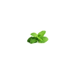 Menthe poivree