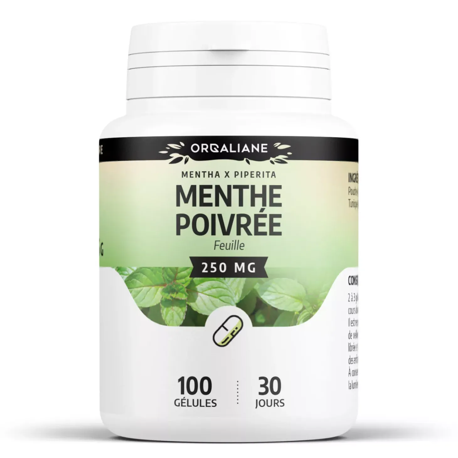 Menthe Poivrée – Mentha x piperita – 100 gélules de 250 mg