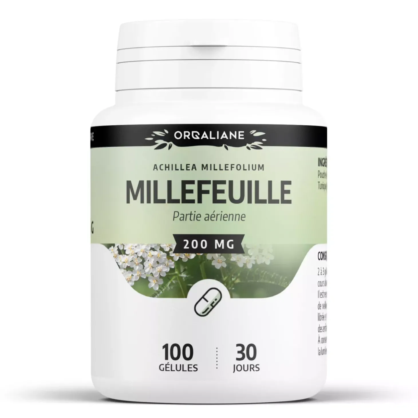 Millefeuille (Achillée Millefeuille) – Achillea millefolium – 100 gélules de 200 mg
