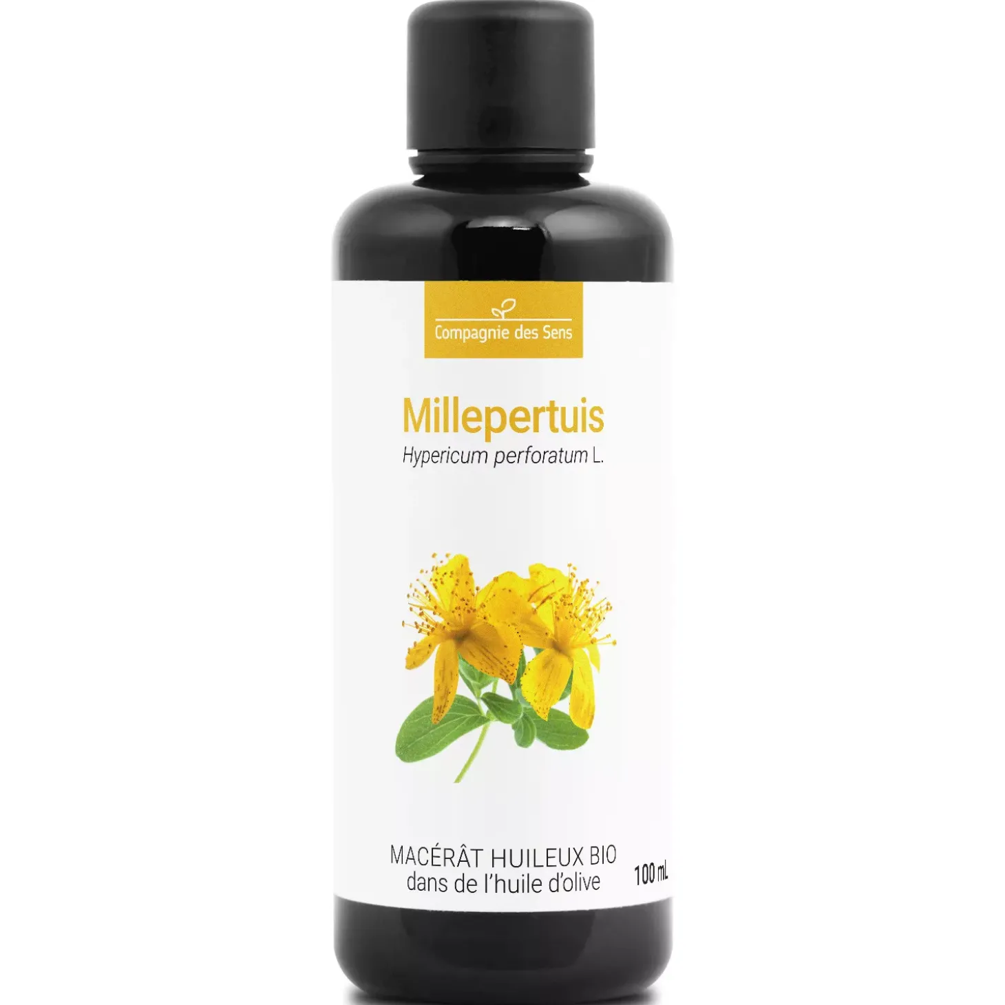 Millepertuis