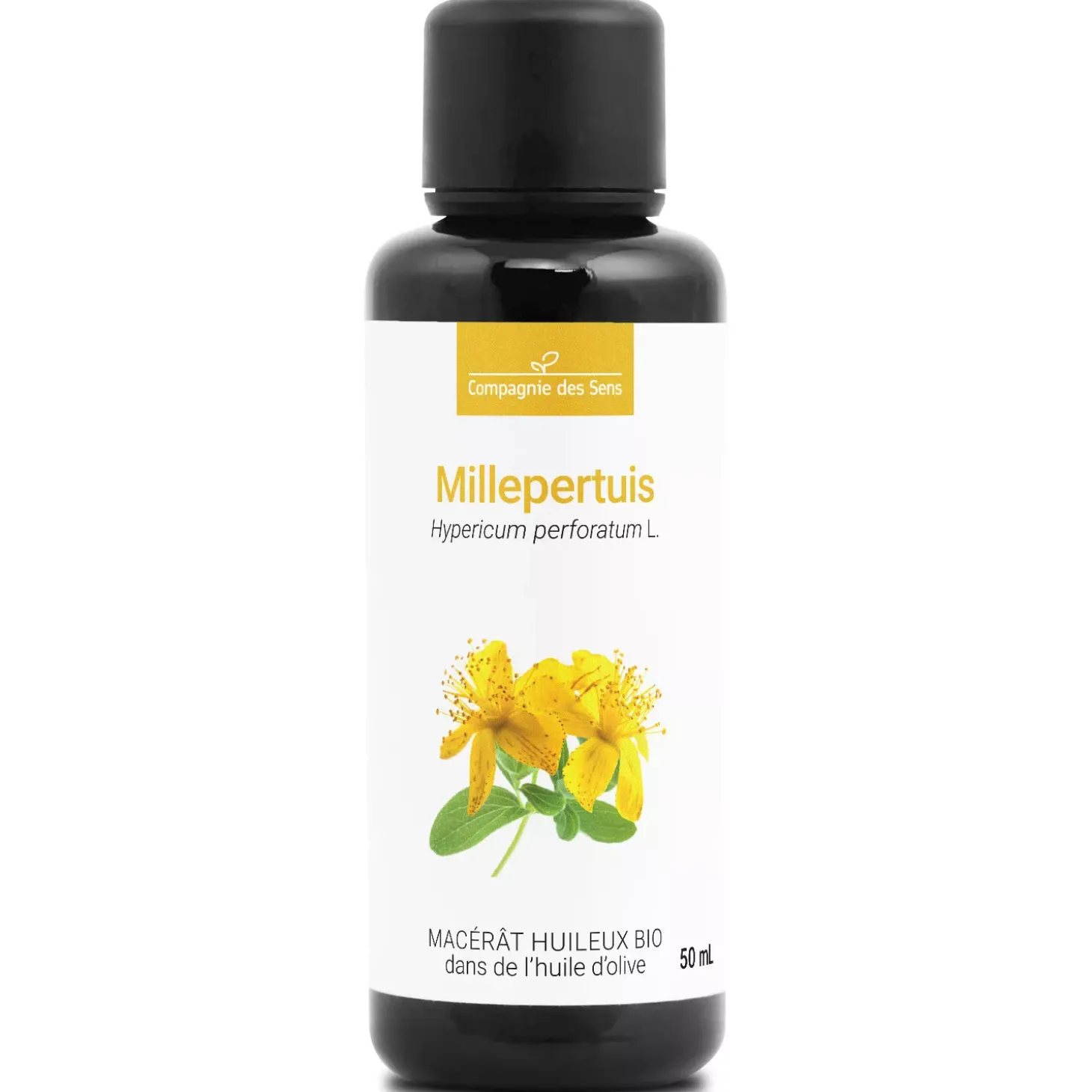 Millepertuis
