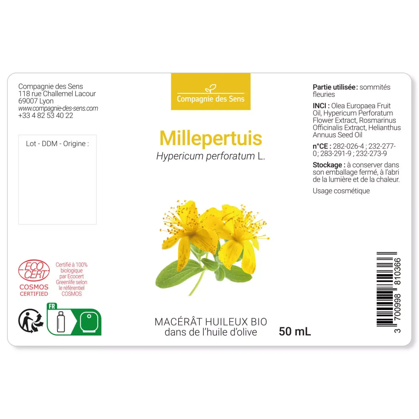 Millepertuis