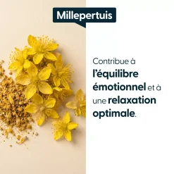 Millepertuis concentré
