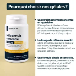 Millepertuis concentré