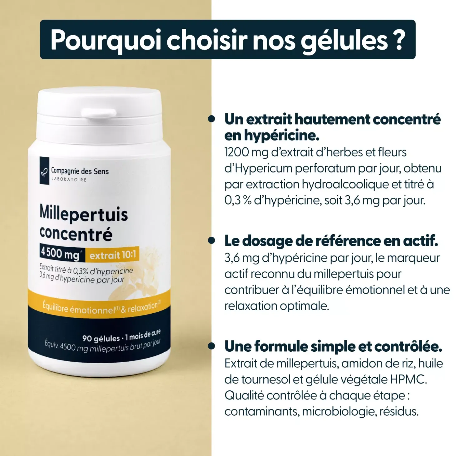 Millepertuis concentré