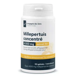 Millepertuis concentré