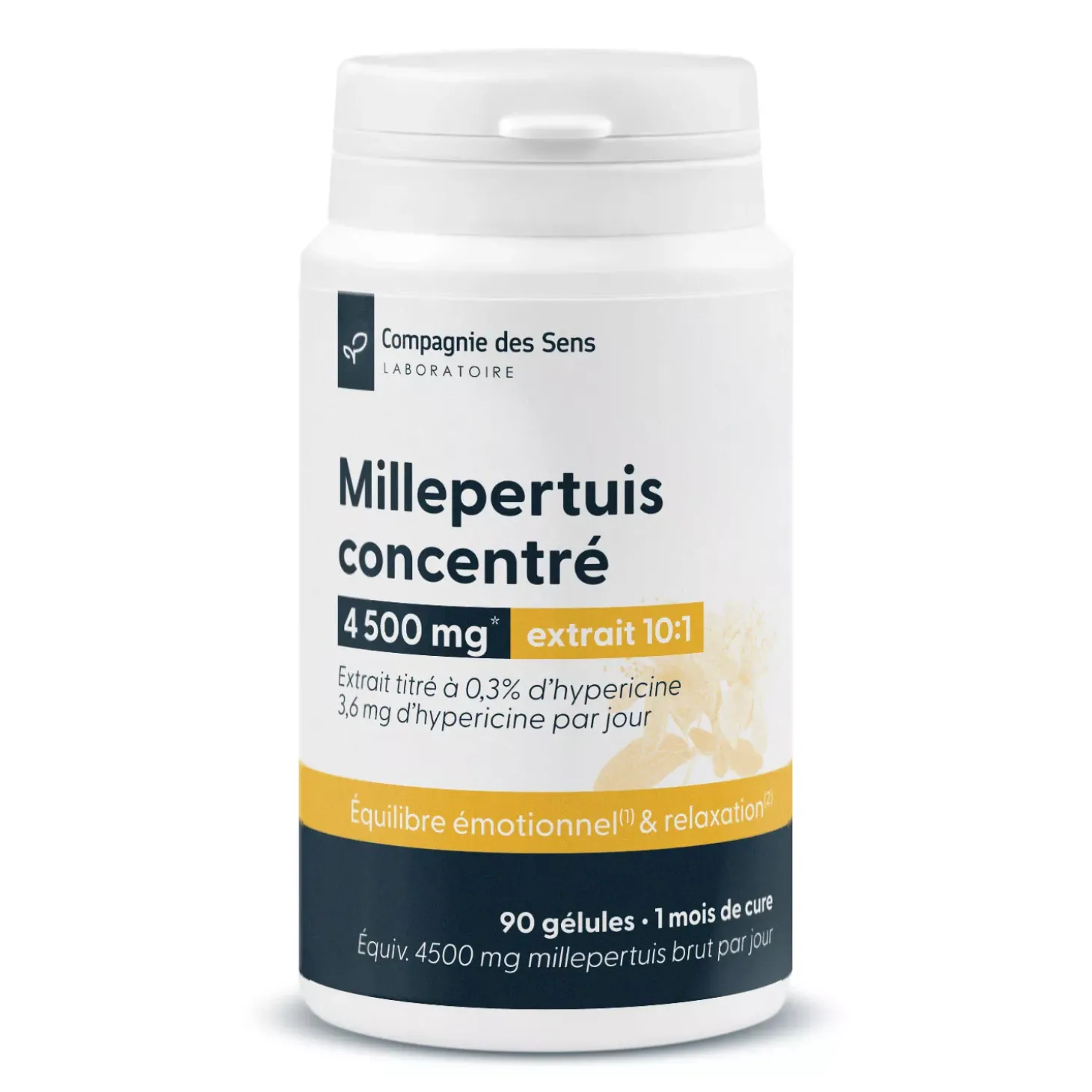 Millepertuis concentré