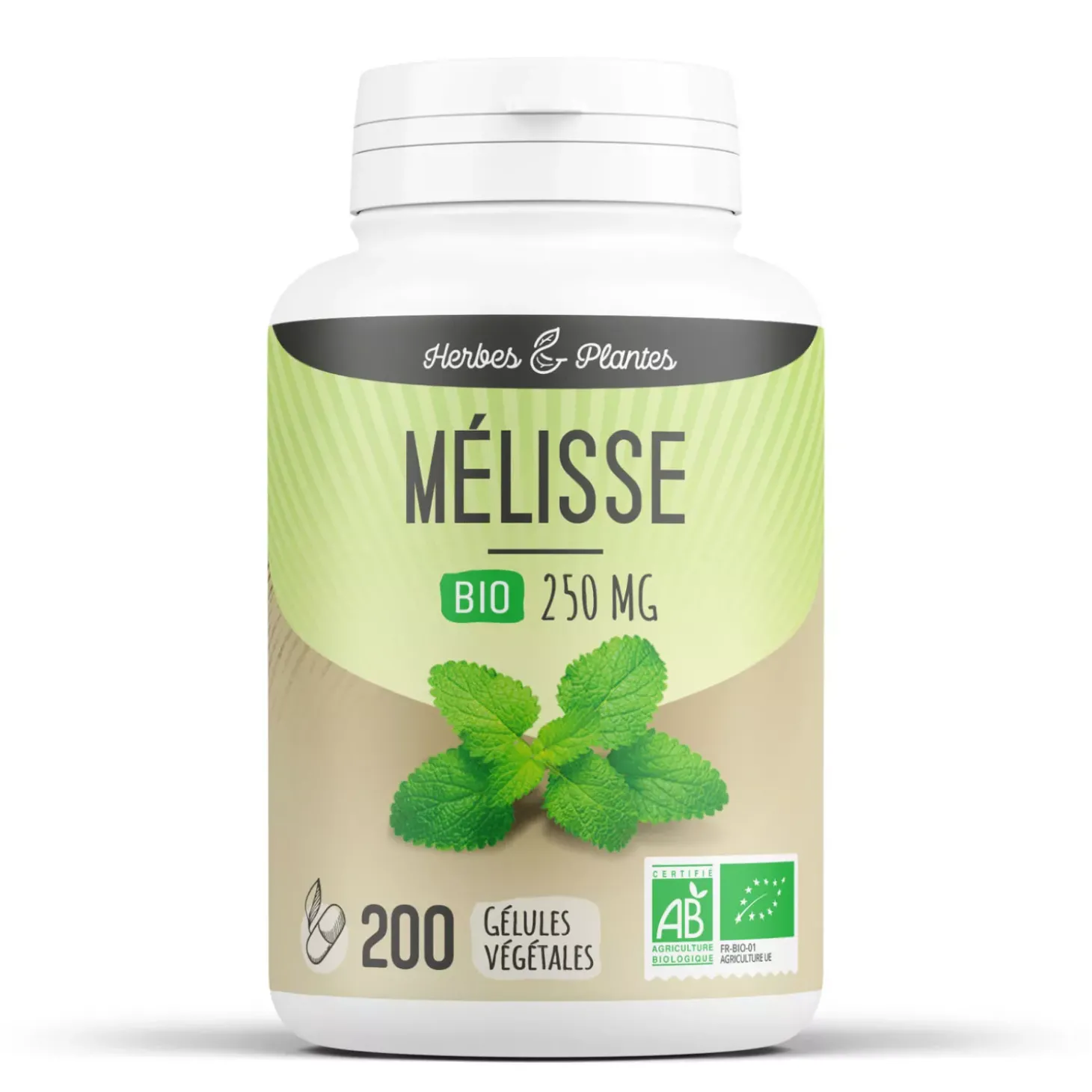 Mélisse bio