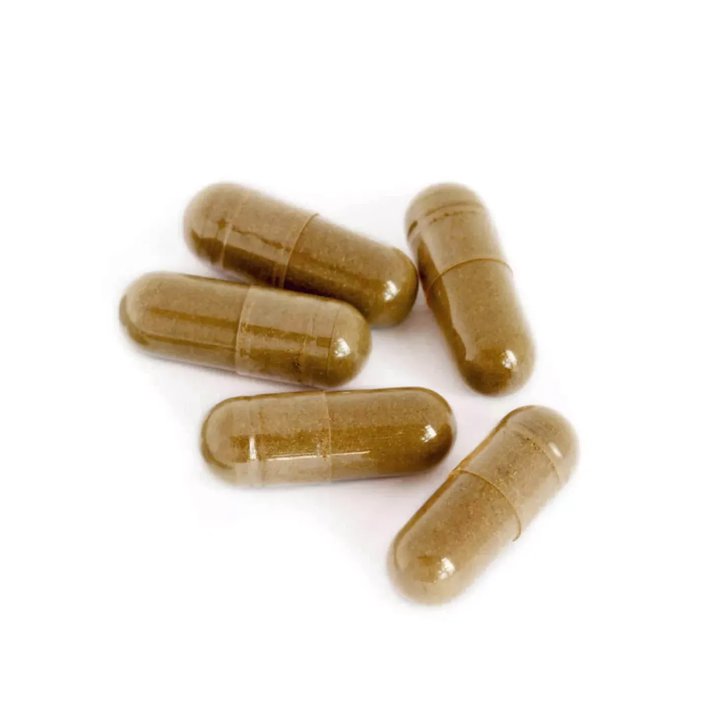 Moringa bio Haute Concentration
