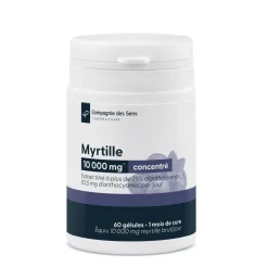 Myrtille concentrée