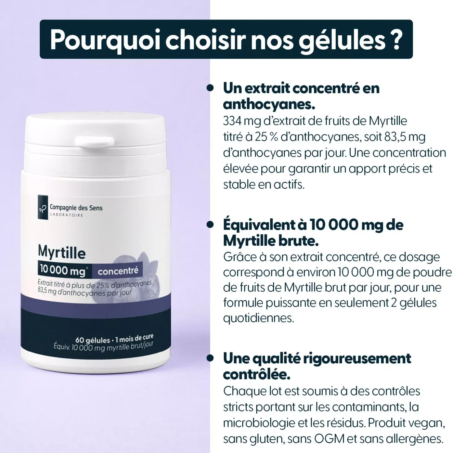 Myrtille concentrée