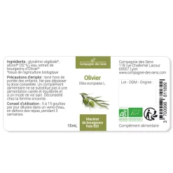 Olivier bio (Olea Europaea) – Macérat concentré de bourgeons frais