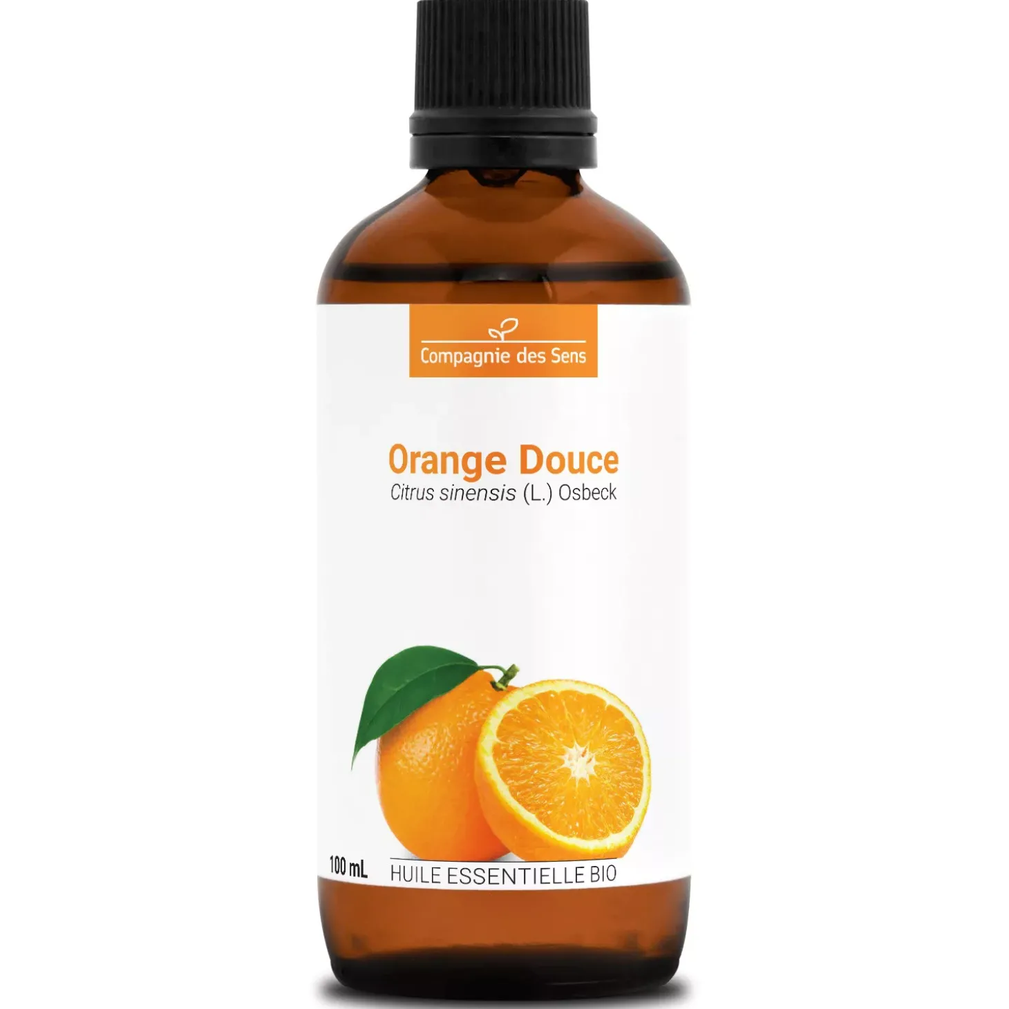 Orange douce (Citrus sinensis)
