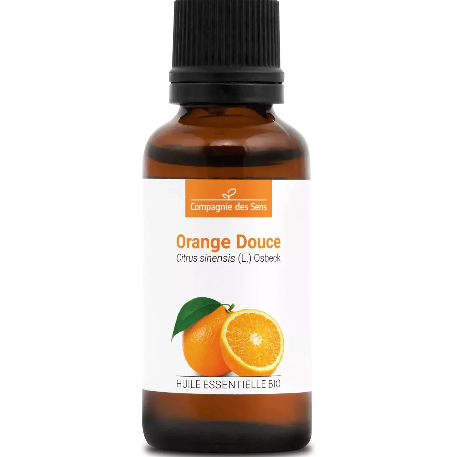 Orange douce (Citrus sinensis)